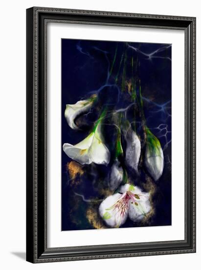 Kintsugi - Japanese Lily Flowers-Stella Chang-Framed Art Print