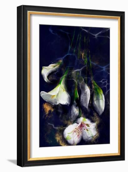 Kintsugi - Japanese Lily Flowers-Stella Chang-Framed Art Print
