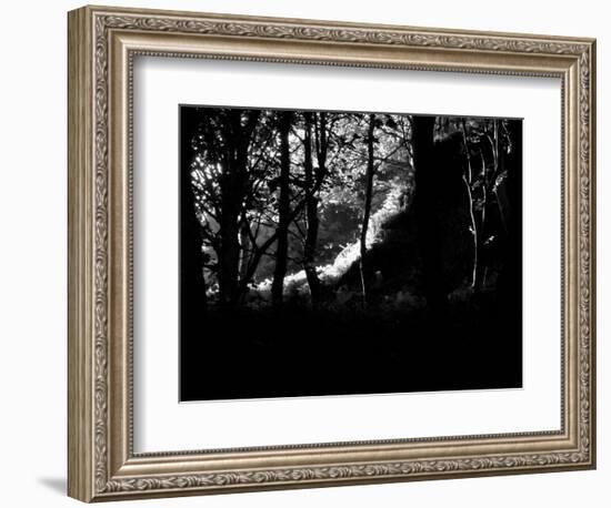 KINTYRE... PLUS. 17-Peter McClure-Framed Photographic Print