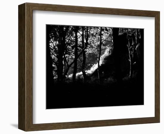 KINTYRE... PLUS. 17-Peter McClure-Framed Photographic Print