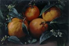 No 399, Oranges, 2013-Kira Weber-Giclee Print