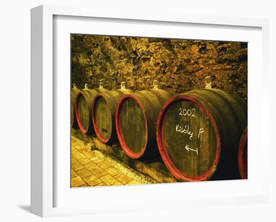 Kiralyudvar Winery Barrels with Tokaj Wine, Tokaj, Hungary-Per Karlsson-Framed Photographic Print