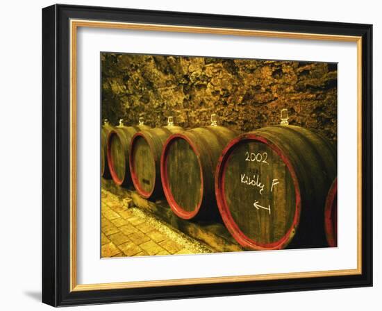 Kiralyudvar Winery Barrels with Tokaj Wine, Tokaj, Hungary-Per Karlsson-Framed Photographic Print