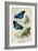 Kirby Butterflies I-Christine Zalewski-Framed Art Print