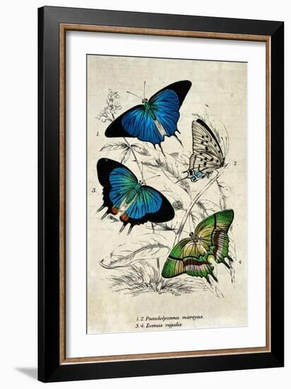 Kirby Butterflies I-Christine Zalewski-Framed Art Print