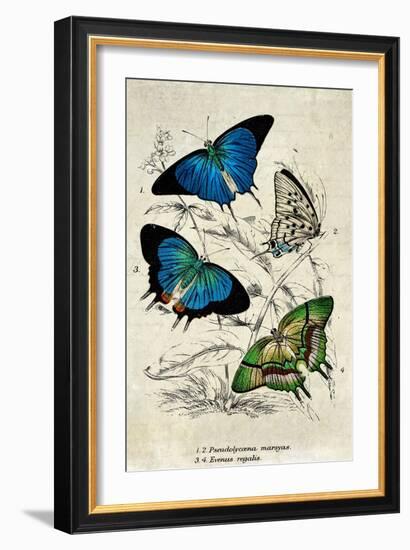 Kirby Butterflies I-Christine Zalewski-Framed Art Print