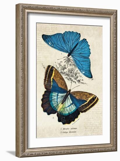 Kirby Butterflies II-Christine Zalewski-Framed Art Print