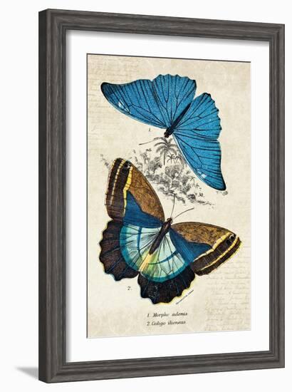 Kirby Butterflies II-Christine Zalewski-Framed Art Print