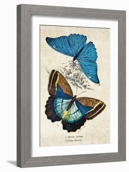 Kirby Butterflies II-Christine Zalewski-Framed Art Print