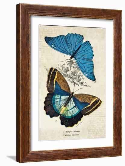 Kirby Butterflies II-Christine Zalewski-Framed Art Print