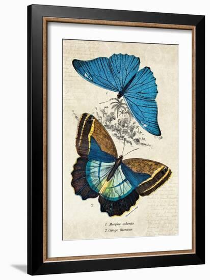 Kirby Butterflies II-Christine Zalewski-Framed Art Print