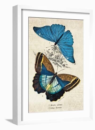 Kirby Butterflies II-Christine Zalewski-Framed Art Print