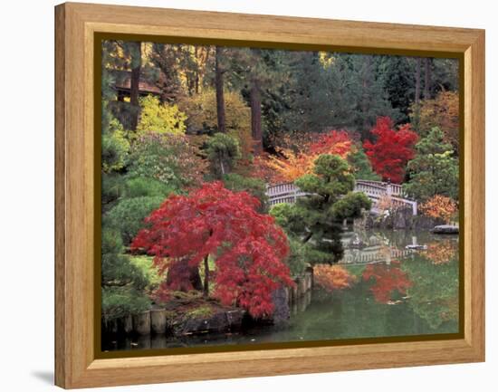 Kiri Pond and Bridge in a Japanese Garden, Spokane, Washington, USA-Jamie & Judy Wild-Framed Premier Image Canvas