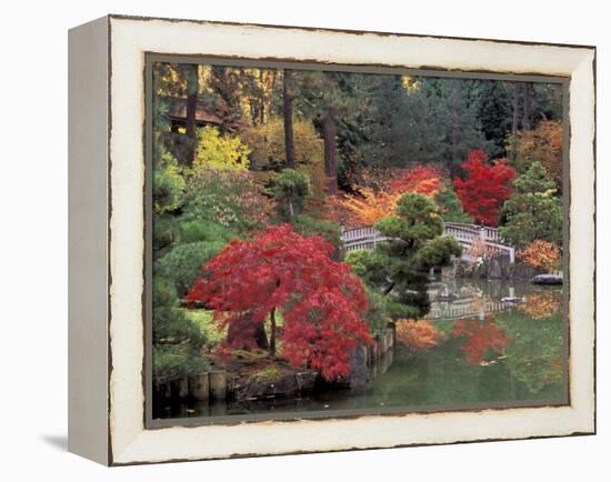 Kiri Pond and Bridge in a Japanese Garden, Spokane, Washington, USA-Jamie & Judy Wild-Framed Premier Image Canvas