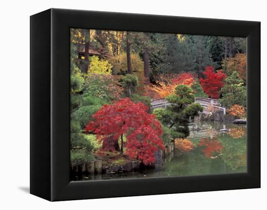 Kiri Pond and Bridge in a Japanese Garden, Spokane, Washington, USA-Jamie & Judy Wild-Framed Premier Image Canvas