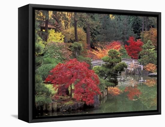 Kiri Pond and Bridge in a Japanese Garden, Spokane, Washington, USA-Jamie & Judy Wild-Framed Premier Image Canvas