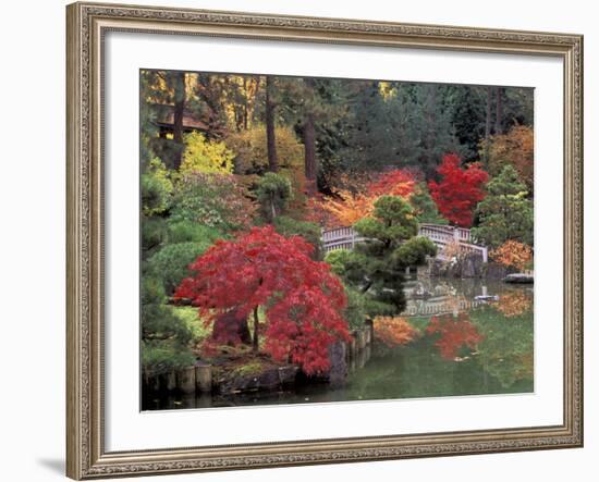 Kiri Pond and Bridge in a Japanese Garden, Spokane, Washington, USA-Jamie & Judy Wild-Framed Photographic Print