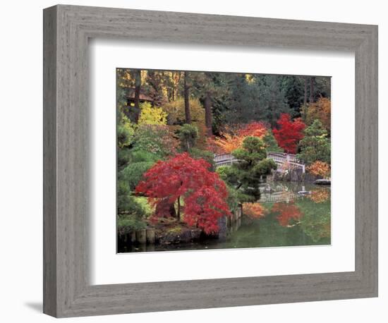 Kiri Pond and Bridge in a Japanese Garden, Spokane, Washington, USA-Jamie & Judy Wild-Framed Photographic Print