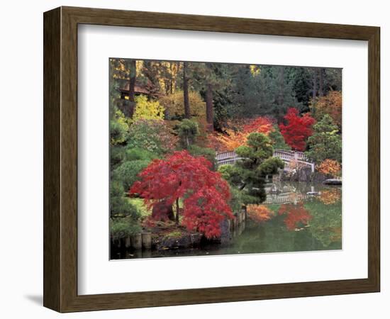 Kiri Pond and Bridge in a Japanese Garden, Spokane, Washington, USA-Jamie & Judy Wild-Framed Photographic Print