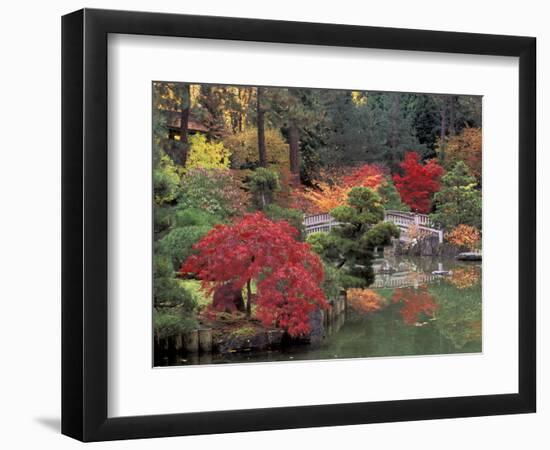 Kiri Pond and Bridge in a Japanese Garden, Spokane, Washington, USA-Jamie & Judy Wild-Framed Photographic Print