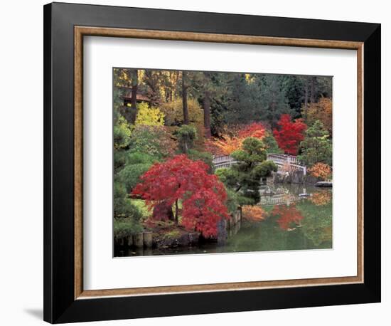 Kiri Pond and Bridge in a Japanese Garden, Spokane, Washington, USA-Jamie & Judy Wild-Framed Photographic Print