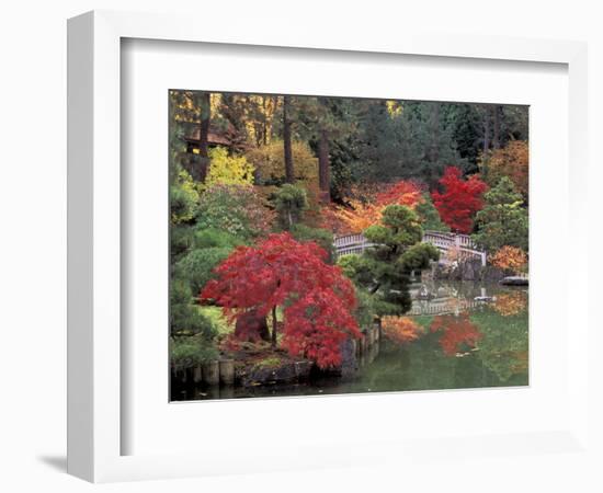 Kiri Pond and Bridge in a Japanese Garden, Spokane, Washington, USA-Jamie & Judy Wild-Framed Photographic Print