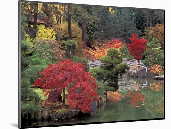 Kiri Pond and Bridge in a Japanese Garden, Spokane, Washington, USA-Jamie & Judy Wild-Mounted Photographic Print