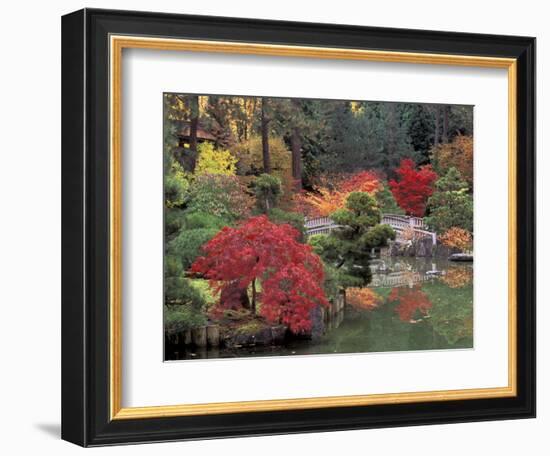 Kiri Pond and Bridge in a Japanese Garden, Spokane, Washington, USA-Jamie & Judy Wild-Framed Photographic Print