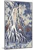 Kirifuri Fall on Kurokami Mount, from the Series 'shokoku Taki Meguri-Katsushika Hokusai-Mounted Giclee Print