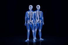 Human Skeleton. Front and Back View. Contains Clipping Path-Kirill_M-Art Print