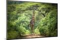 Photographic Print