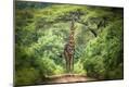 Photographic Print