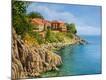 Premium Giclee Print