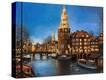 Stretched Canvas Print