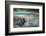 Kirkjufell Aurora III-Philippe Manguin-Framed Photographic Print