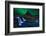 Kirkjufell... Under a Boreal Green Sky-Alvaro Roxo-Framed Photographic Print