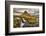 Kirkjufellsfoss, Snaefellsnes Peninsula, Iceland-John Ford-Framed Photographic Print