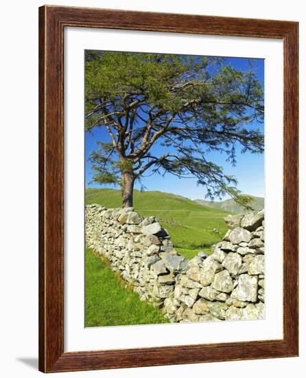 Kirkstone Pass, Lake District National Park, Cumbria, England, United Kingdom, Europe-Jeremy Lightfoot-Framed Photographic Print