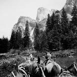 Tourist Photo from Horse-Drawn Wagon in Yosemite Valley, Ca. 1900.-Kirn Vintage Stock-Photographic Print