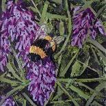 Flutter - Comma Butterfly on Japonica-Kirstie Adamson-Giclee Print