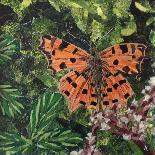Flit - Satyr Butterfly on Thistle-Kirstie Adamson-Giclee Print