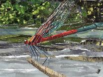 Turquoise Dragonfly-Kirstie Adamson-Giclee Print