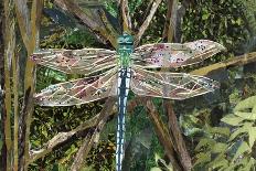 Turquoise Dragonfly-Kirstie Adamson-Giclee Print
