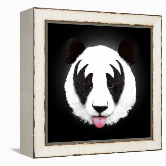 Kiss of a Panda-Robert Farkas-Framed Premier Image Canvas