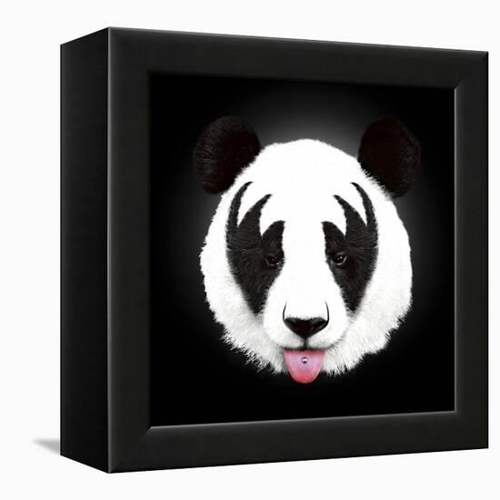 Kiss of a Panda-Robert Farkas-Framed Premier Image Canvas