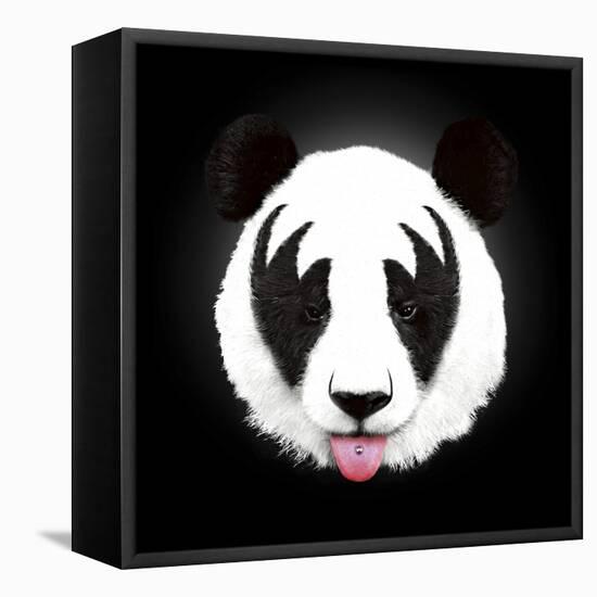 Kiss of a Panda-Robert Farkas-Framed Premier Image Canvas