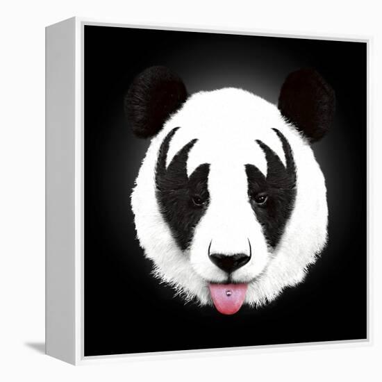 Kiss of a Panda-Robert Farkas-Framed Premier Image Canvas