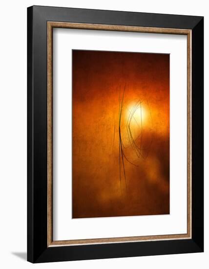 Kiss of Light-Philippe Sainte-Laudy-Framed Photographic Print