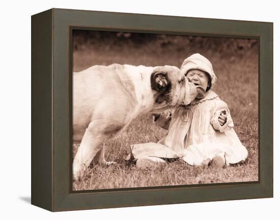 Kisses N Licks-Betsy Cameron-Framed Stretched Canvas