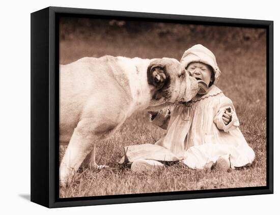 Kisses N Licks-Betsy Cameron-Framed Stretched Canvas